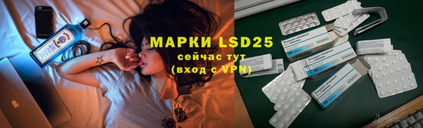 прущие грибы Армянск