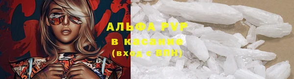прущие грибы Армянск