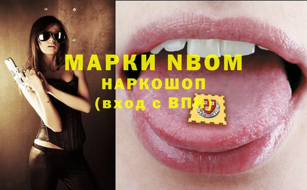 амф Пестово