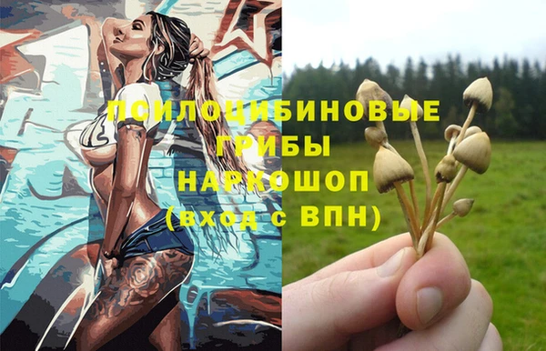 прущие грибы Армянск